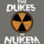 The Dukes of Nukem