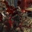 Gears of War Gears of War