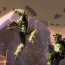 Star Wars: The Force Unleashed